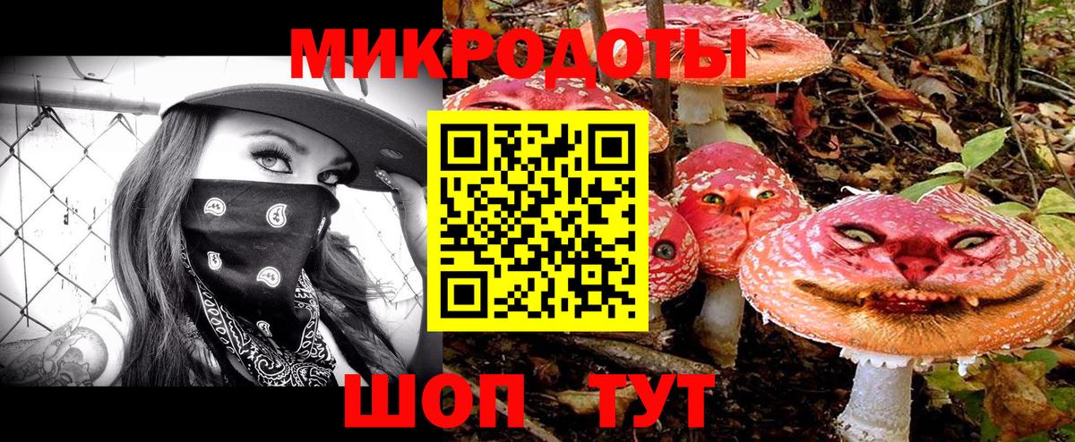 Галлюциногенные грибы прущие грибы Кисловодск