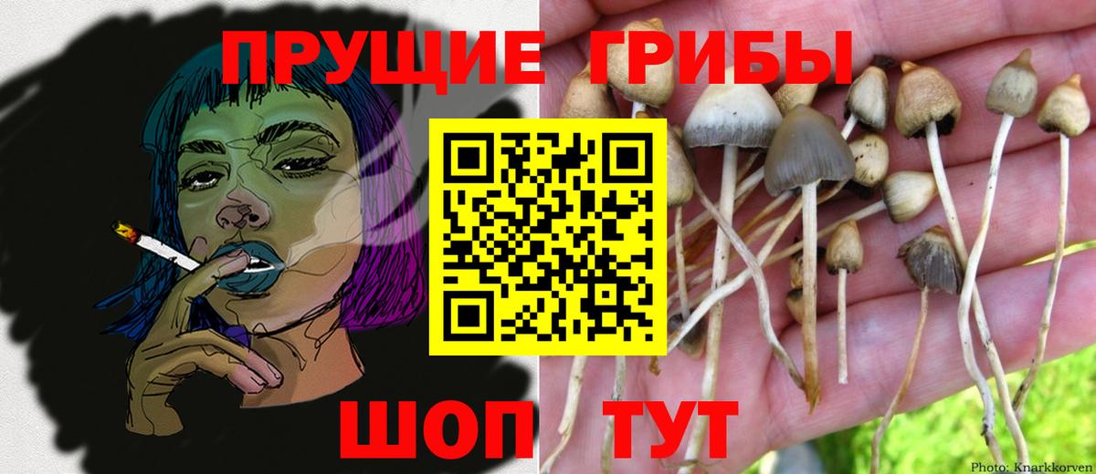 Псилоцибиновые грибы Cubensis  Вход с VPN  дарнет шоп  Кисловодск 